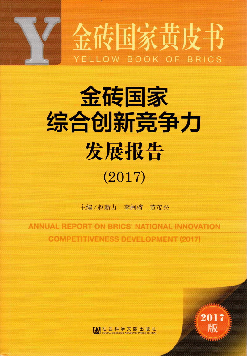 国产男女操逼免费视频网站!金砖国家综合创新竞争力发展报告（2017）